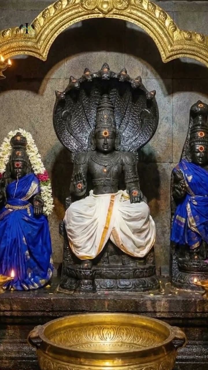 TIRUNAGESWARAM TEMPLE — SOCIAL