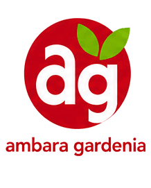 Ambara Gardenia